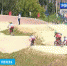 Пензенские спортсмены примут участие во всероссийских сборах по BMX - RussiaRegionPress.Ru