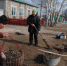 Пензенская область вольется во Всероссийский субботник - Пензенская Правда
