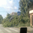Пензенцы делятся фотографиями последствий урагана - Пензенская Правда