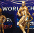 Лунинский атлет выступил на Чемпионате мира - Газета Сурская правда