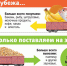 Российские антисанкции сыграли на руку нашим аграриям Фото: Алексей СТЕФАНОВ - Комсомольская правда