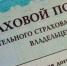 Пензенец оплатил полис ОСАГО на фейковом сайте страховщиков - Пензенская Правда