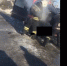 В Пензе появилось видео горящей на трассе машины - ИА Пенза-Пресс
