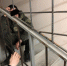 Пензенцы поймали в своем доме руферов - ИА Пенза-Пресс