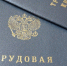 В Пензенской области за 9 месяцев снизился уровень безработицы - TV-express.Ru