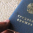 В Пензенской области снизился уровень безработицы - Пензенская Правда