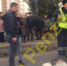 В ГИБДД прокомментировали ДТП со сбитой бабушкой в Арбекове - Пензенская Правда