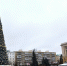 Главная елка на площади Ленина готова к празднику - Progorod58.Ru