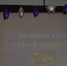 Игра «Мы вправе?» - ПГТА