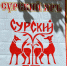 Фестиваль «Сурский Яръ» решено провести в Мокшанском районе. Фото из архива ИА «PenzaNews» - ИА PenzaNews