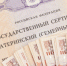 Родители считают дни: когда пензенцам будут начислять маткапитал по-новому - Progorod58.Ru