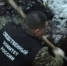 Появилось видео с места обнаружения останков пензенскими криминалистами под Рязанью - Пенза-Взгляд