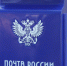 В Пензе подвели итоги Всероссийской декады подписки - Департамент информационной политики