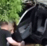 В Чемодановке два автомобиля слетели в водоем - TV-express.Ru