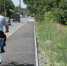 В Пензе создадут концепцию озеленения города - Пенза-Взгляд