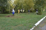 Субботник