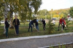 Субботник