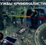 Службе криминалистики 66 - Следственный комитет
