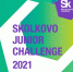 Юные инноваторы могут принять участие в олимпиаде Skolkovo Junior Challenge 2021 - Объединение бизнес-инкубаторов