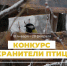 птицы - Газета Сурские просторы