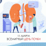 11 Марта - Всемирный день почки - ГБУЗ ПОКБ им. Н.Н. Бурденко
