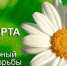 Регулярная диспансеризация поможет предотвратить развитие туберкулеза - ТФОМС