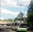 trolleybus - Улица Московская