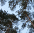 Фото: http://pixabay.com - Penza-Post.Ru
