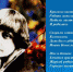 О Марине Цветаевой — в музее Куприна - Объединение литературно-мемориальных музеев
