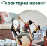 Я ТОЖЕ ДОМА! - ПензаСМИ