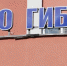 Фото: региональное УГИБДД России - Penza-Post.Ru