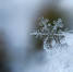 Фото: http://pixabay.com - Penza-Post.Ru