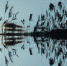 Фото: pixabay.com - Penza-Post.Ru