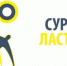 Пензенский форум «Сурские ласточки» станет грантовой площадкой «Росмолодежи» - ГТРК Пенза