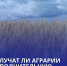 Пензенским аграриям рассказали о дополнительной поддержке - РИА Пензенской области