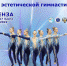 ТУРНИР ПО ЭСТЕТИЧЕСКОЙ ГИМНАСТИКЕ «ТРИУМФ» - Центр спортивной подготовки