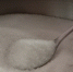 Ситуация с сахаром в Кузнецке стабилизировалась - SMI58.Ru
