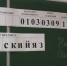 Пензенские выпускники 5 апреля напишут тренировочный экзамен по русскому языку - ГТРК Пенза