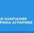 Замглавы пензенского минсельхоза в прямом эфире ответит на вопросы о поддержке аграриев - 1Pnz.Ru