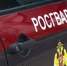 В Пензе сотрудники Росгвардии задержали возможных хулиганов - ГТРК Пенза