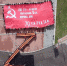 В Пензе у Монумента воинской и трудовой Славы прошла региональная акция «Под Знаменем Победы» - Росгвардия