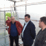 Замминистра побывал в сельхозпредприятиях района - Газета Наша газета - Бессоновские известия