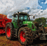 Фото: http://pixabay.com - Penza-Post.Ru