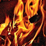 Фото: pixabay.com - Penza-Post.Ru