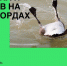 Эковолонтеры Пензы соберут мусор и споют на Ласточкином озере - ПензаСМИ