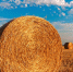 Фото: http://pixabay.com - Penza-Post.Ru