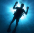 Фото: http://pixabay.com - Penza-Post.Ru