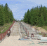 Фото: https://shem.pnzreg.ru - Penza-Post.Ru