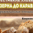 Туристско-информационный центр приглашает жителей и гостей Пензенской области на фестиваль хлеба - Туристско-информационный центр