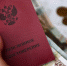 Пенсионерам выплатят по 5 тыс. рублей: названа дата - Progorod58.Ru